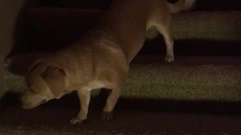 Good friend to the rescue