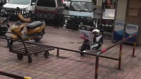 A typical day in Guangzhou