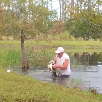 The owner saved his house friend