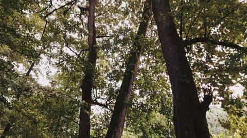 طبیعتگردی ✌️🏕️