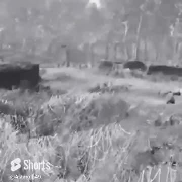 McDicken. Fallout Survivalist? Ep. (1)? They'll be fine maybe? #fallout4 #survivalmod