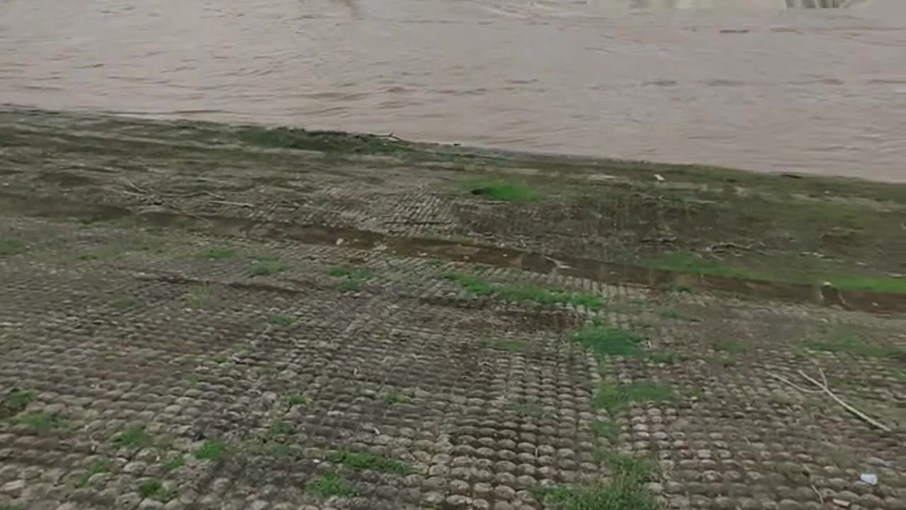 Após o pedal