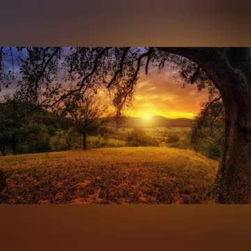 Beautiful picture with peaceful song