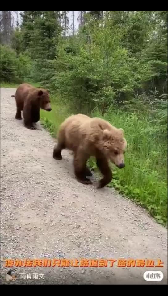 The most dangerous moment