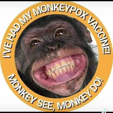 Monkey see monkey do