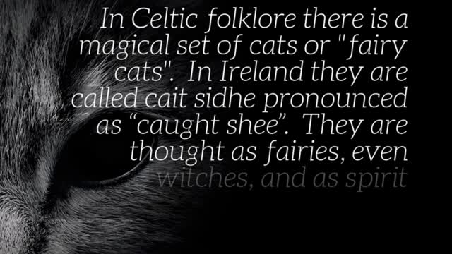 The Celtic Cats and other Celtic Animals