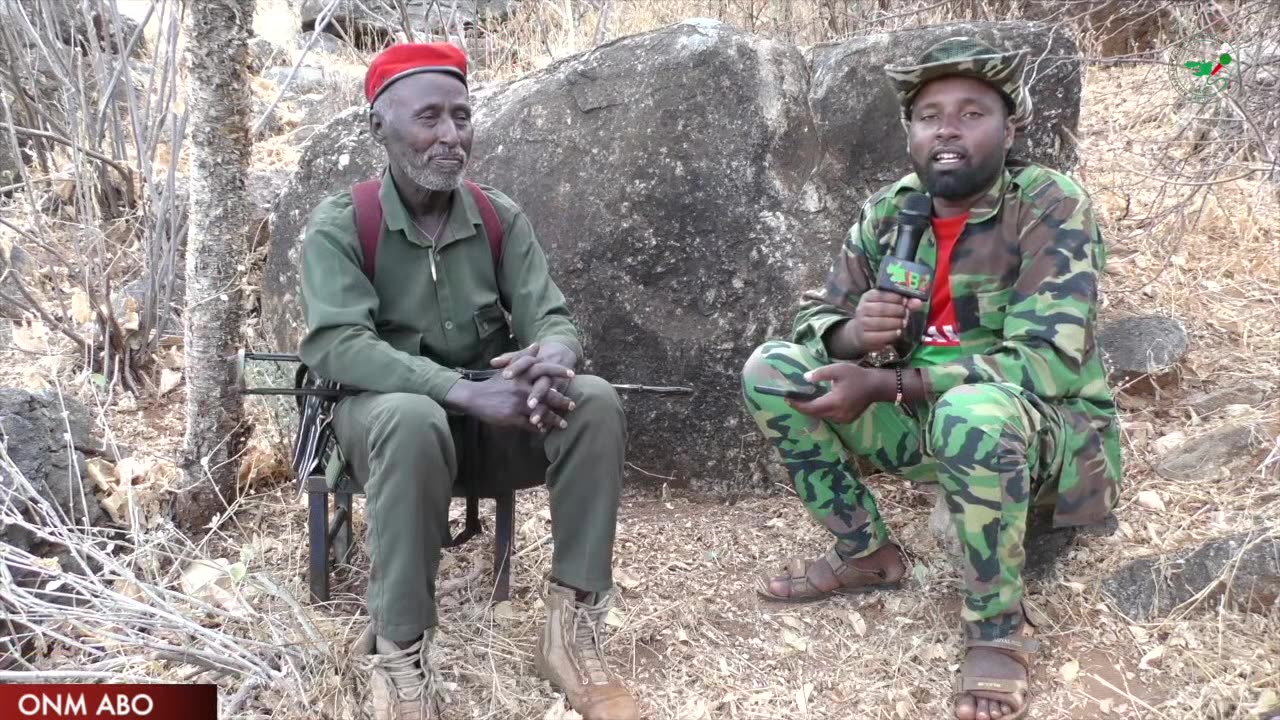 Qophii Faana Seenaa-Jaal Naatoo Lammiitiin