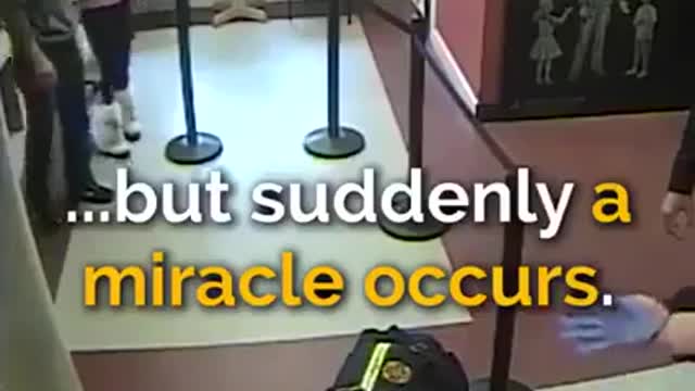A Desperate Woman Rushes Into A Police Station With Her Lifeless Puppy
