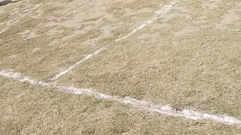 Vollyball match second part😂🤣