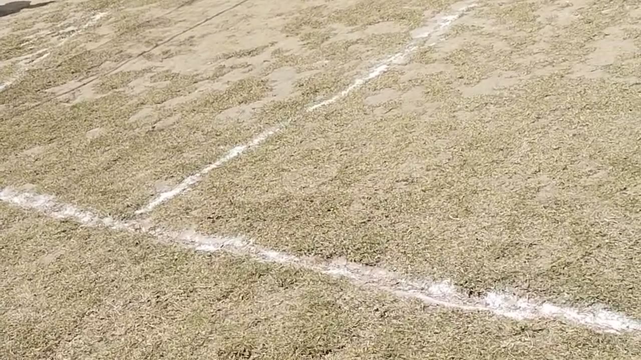 Vollyball match second part😂🤣