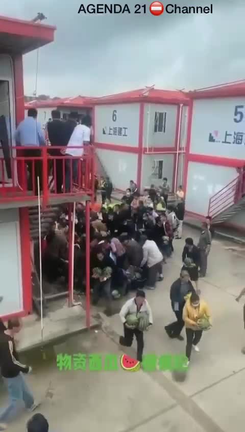 You will own nothing and be happy