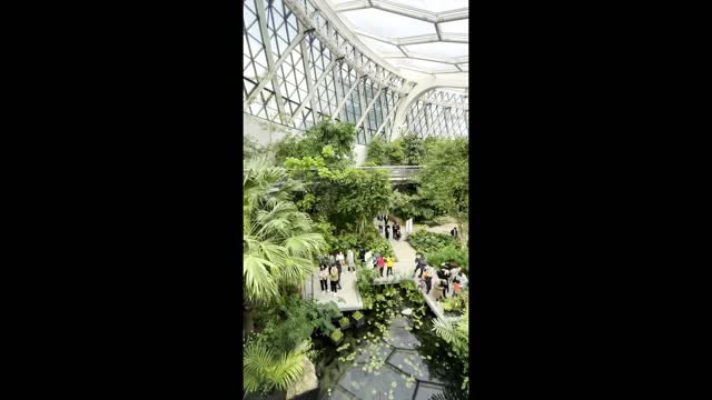 Indoor Botanical Garden Tour Video