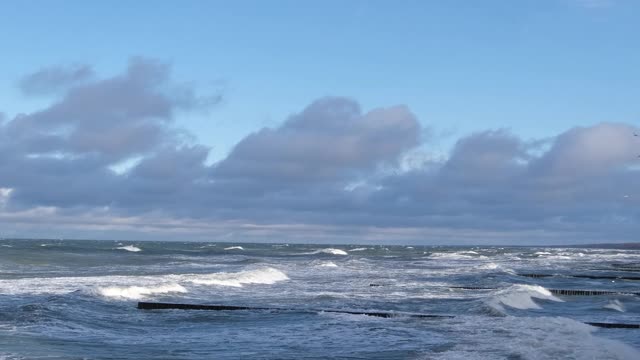 birds-flying-over-sea-waves-