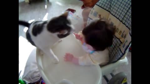 Cat Punches Baby