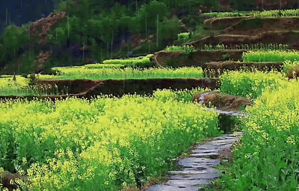 Beautiful pastoral