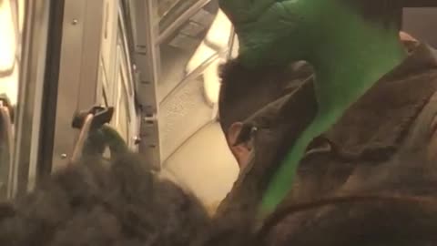 Woman with reptile make up on her face takes a selfie on subway train 