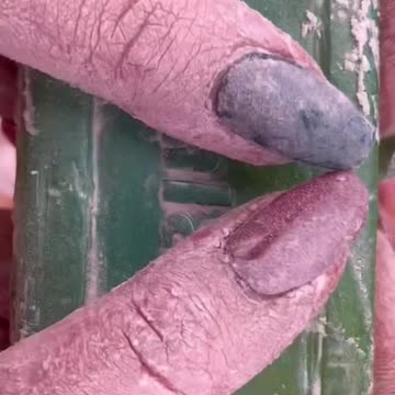 funny|prank|jokes|funny jokes|dad jokes|funny memes|funny video|fun|laughing|funny animal|knock