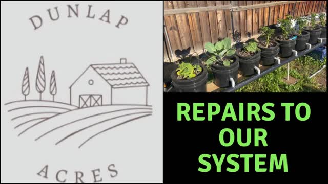 Hydroponic System Repairs & a Life Lesson About Chickens