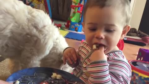 Funniest Moments Baby Sharing Food For Dog - Dog loves Baby