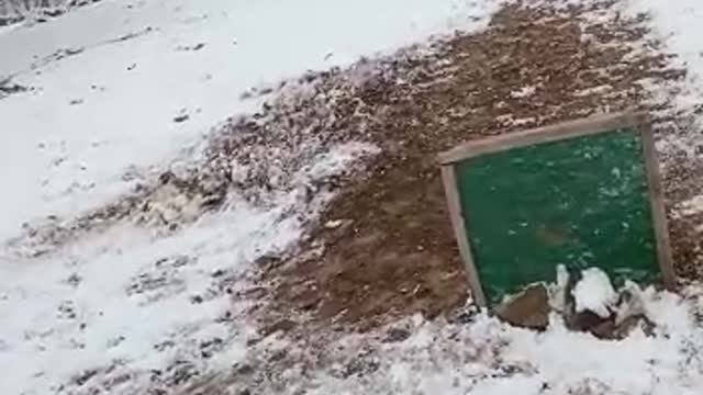 Playing in snowfall season