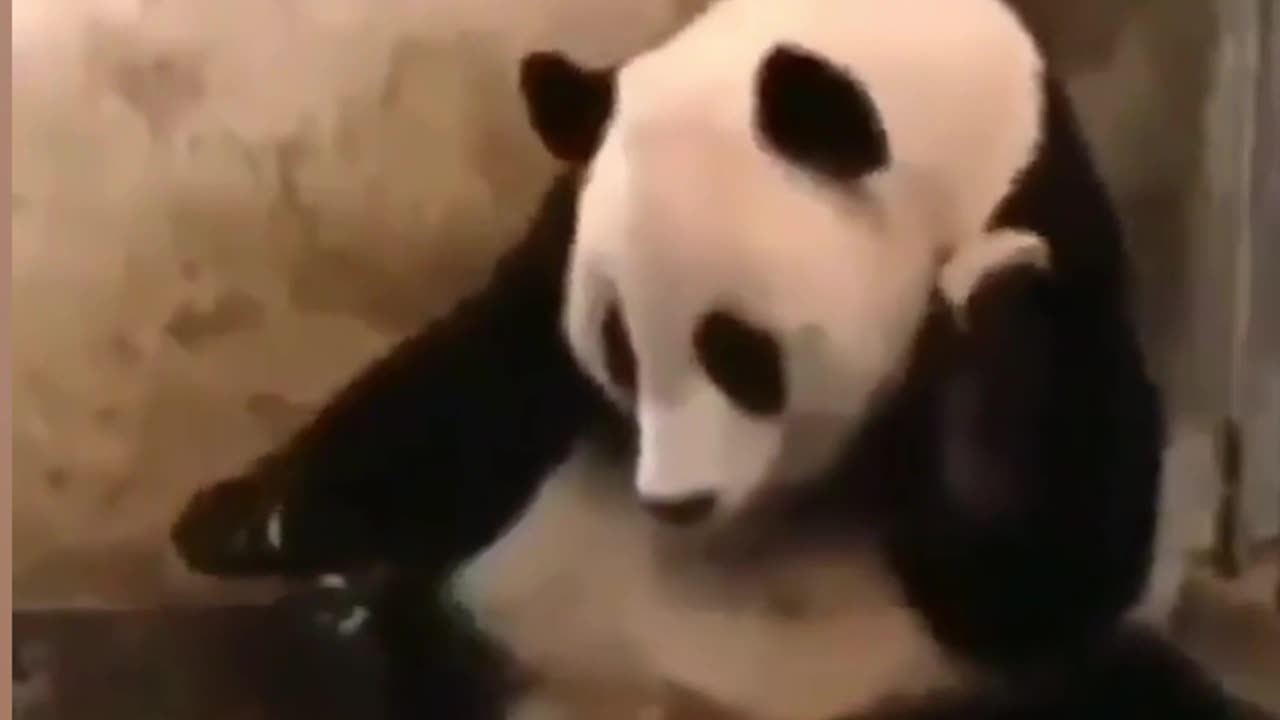 Cuteee 🥰