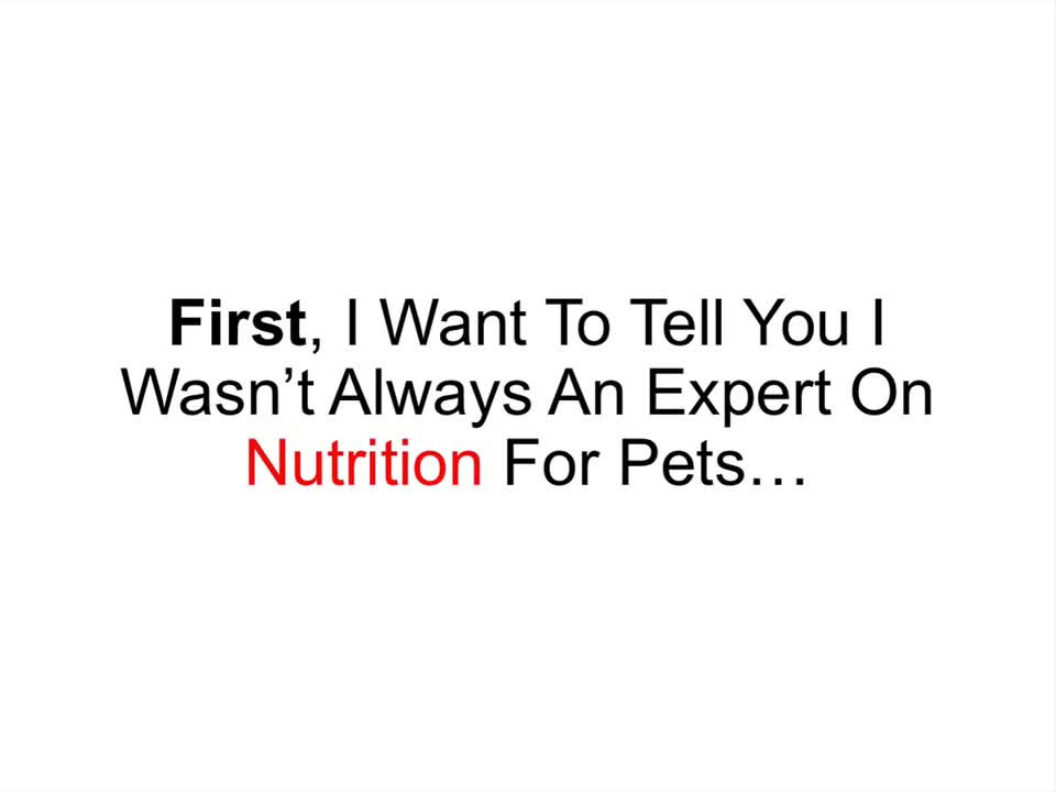 The Truth About Dog Foods Part 1