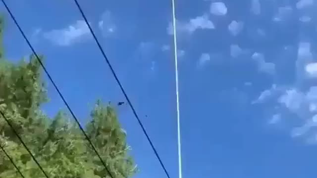 Tree trimming Technology