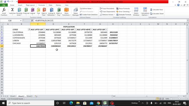 Learn Excel in few minutes | How to do summation and filter the fastest way in Excel