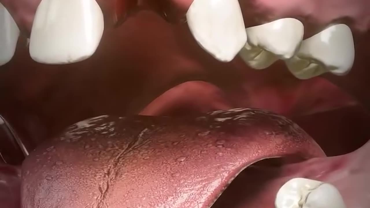 How Adult Teeth Grow In 🤔 #Viral #Viralvideo #USA #Canada #Trending