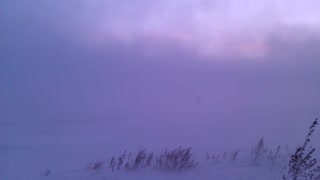 North Dakota Blizzard