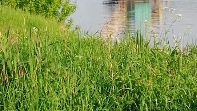 Large machine on the water