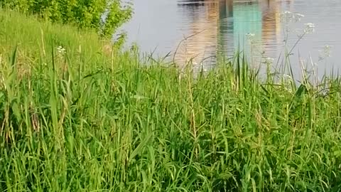 Large machine on the water