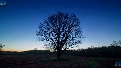 The blue sky