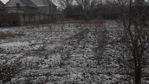 Light snow in the garden