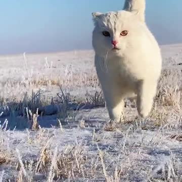 You have to run for something you like, it's reall