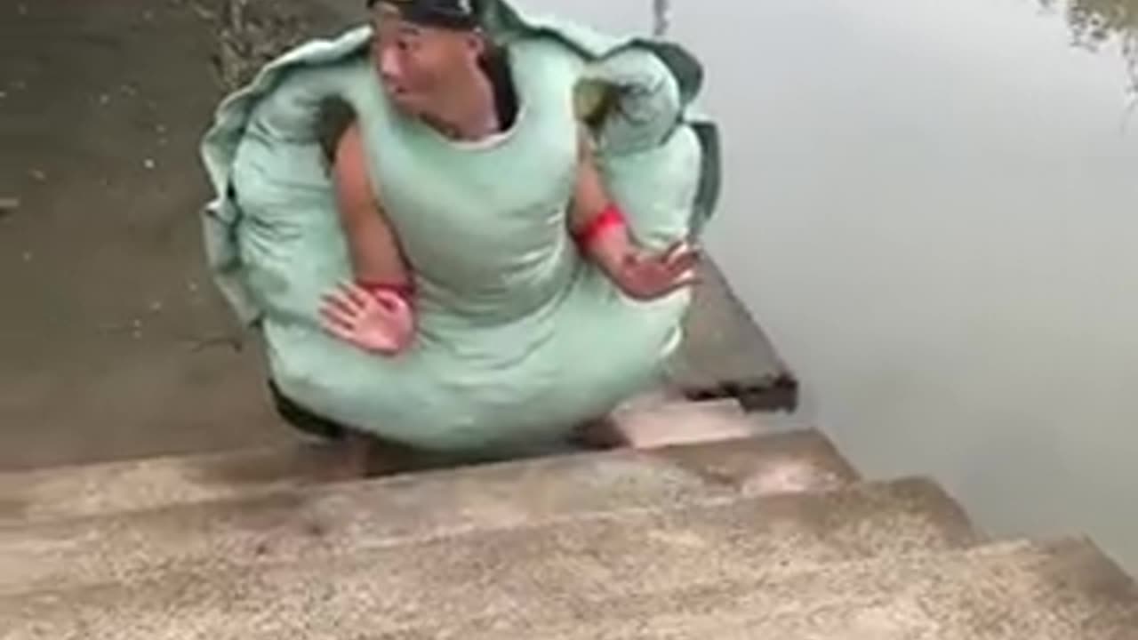Most bada turtle dekh lo agar apne nhi dekha ho to
