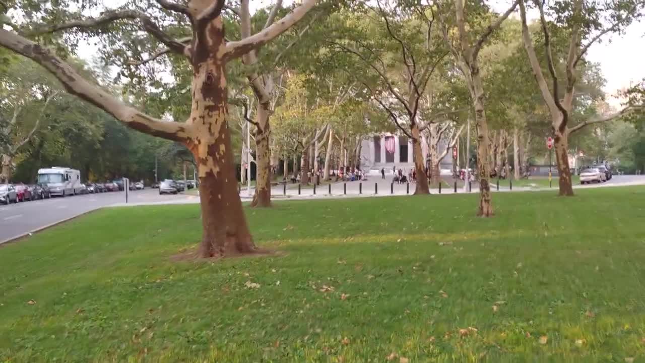 Bluz koncert u Njujorku...Ubij se, daću ti $100 dolara da se baciš sa mosta...