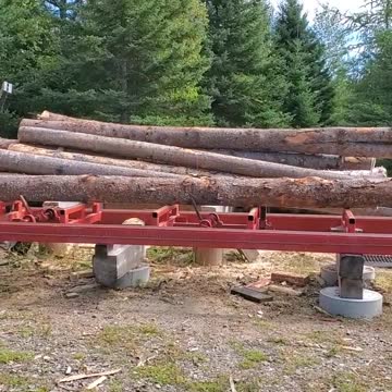 Sawmill Logs