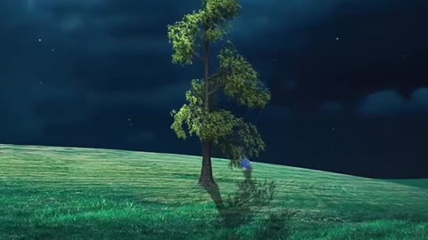 Look this video
