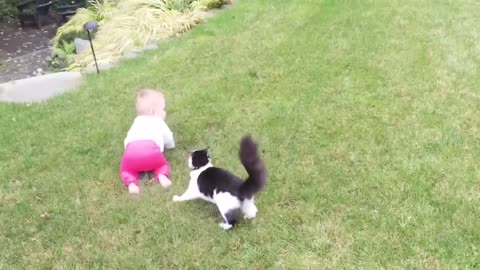 Baby and Cat Fun and Cute - Funny Baby Video