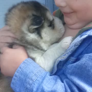 Baby hugs puppy