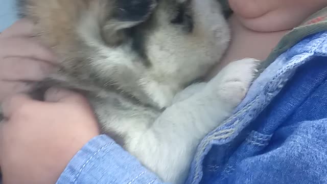 Baby hugs puppy