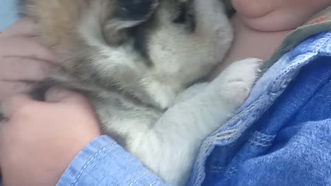 Baby hugs puppy