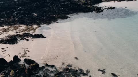 Jeju landscape of basalt and sea