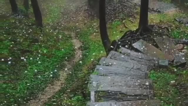 Relaxing Piano & Harp Music | Rain Sounds for Meditation, Relaxation & Sleep