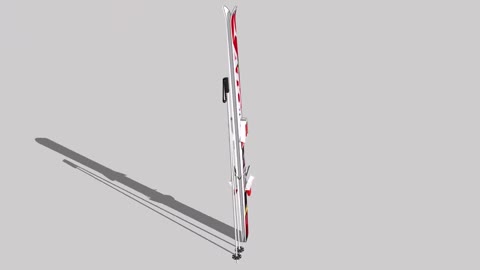 Atomic Junior skis