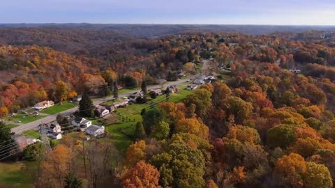 Enchanting Autumn Forests with Beautiful Piano Music