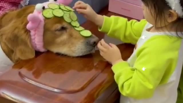 Canine Love Taking Care Of Their Little Kid's Best Friend