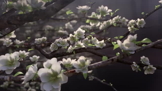 BT_TV_Easter_Ident_. (nature) beautiful images