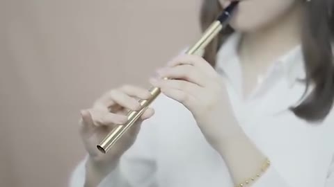 Irish Whistle Flöt C+D Key ⭐6 Loch Flöt